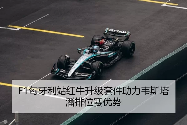 xiong-ya-li-zhan-hong-niu-sheng-ji-tao-jian-zhu-li-wei-si-ta-pan-pai-wei-sai-you-shi-3-586.jpg